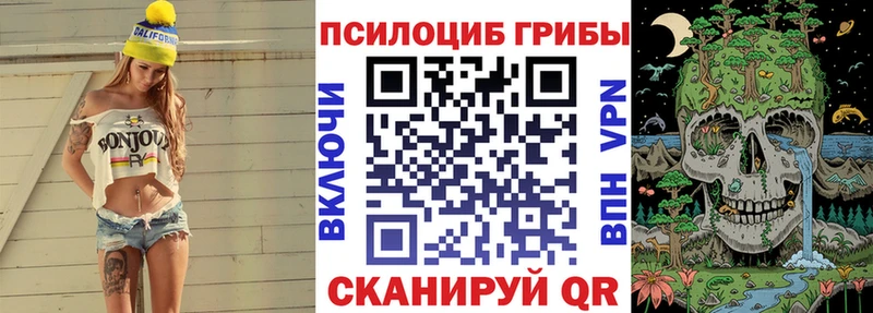 Галлюциногенные грибы Psilocybe  Вятские Поляны 